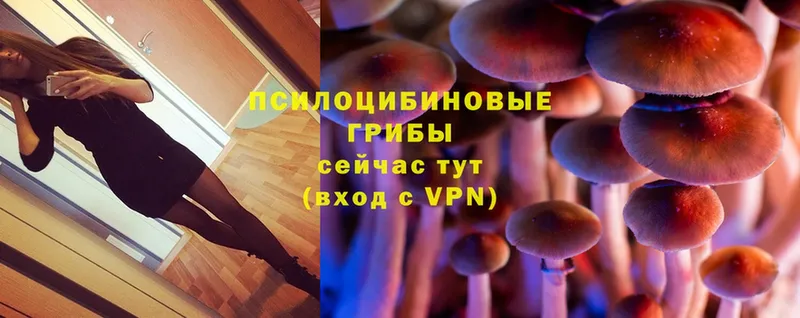 Галлюциногенные грибы MAGIC MUSHROOMS  где купить   Ленинск-Кузнецкий 